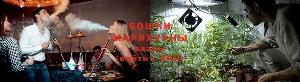 каннабис Бородино